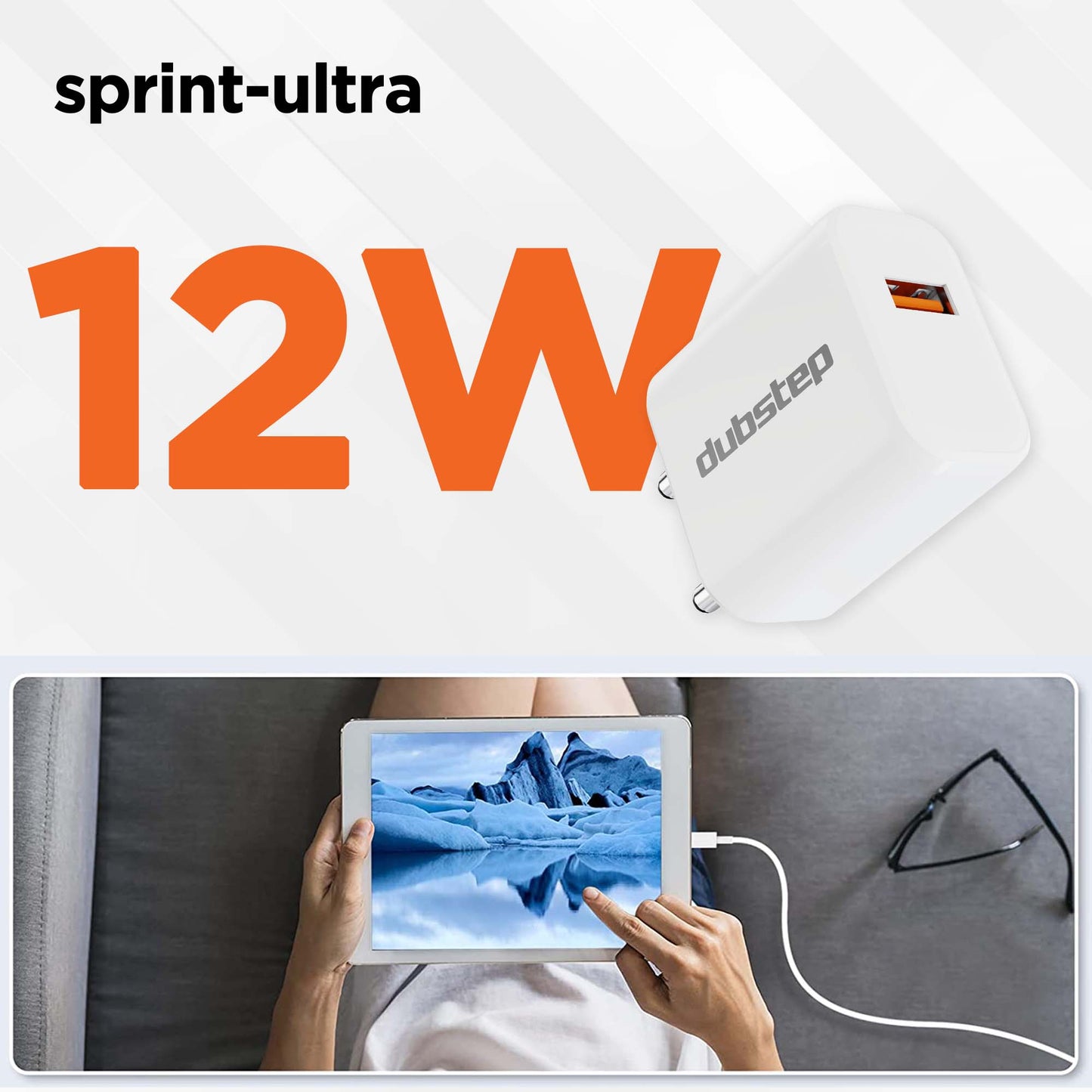 Sprint 12W 2.4A Fast Charger with Cable (Micro USB to USB-A)